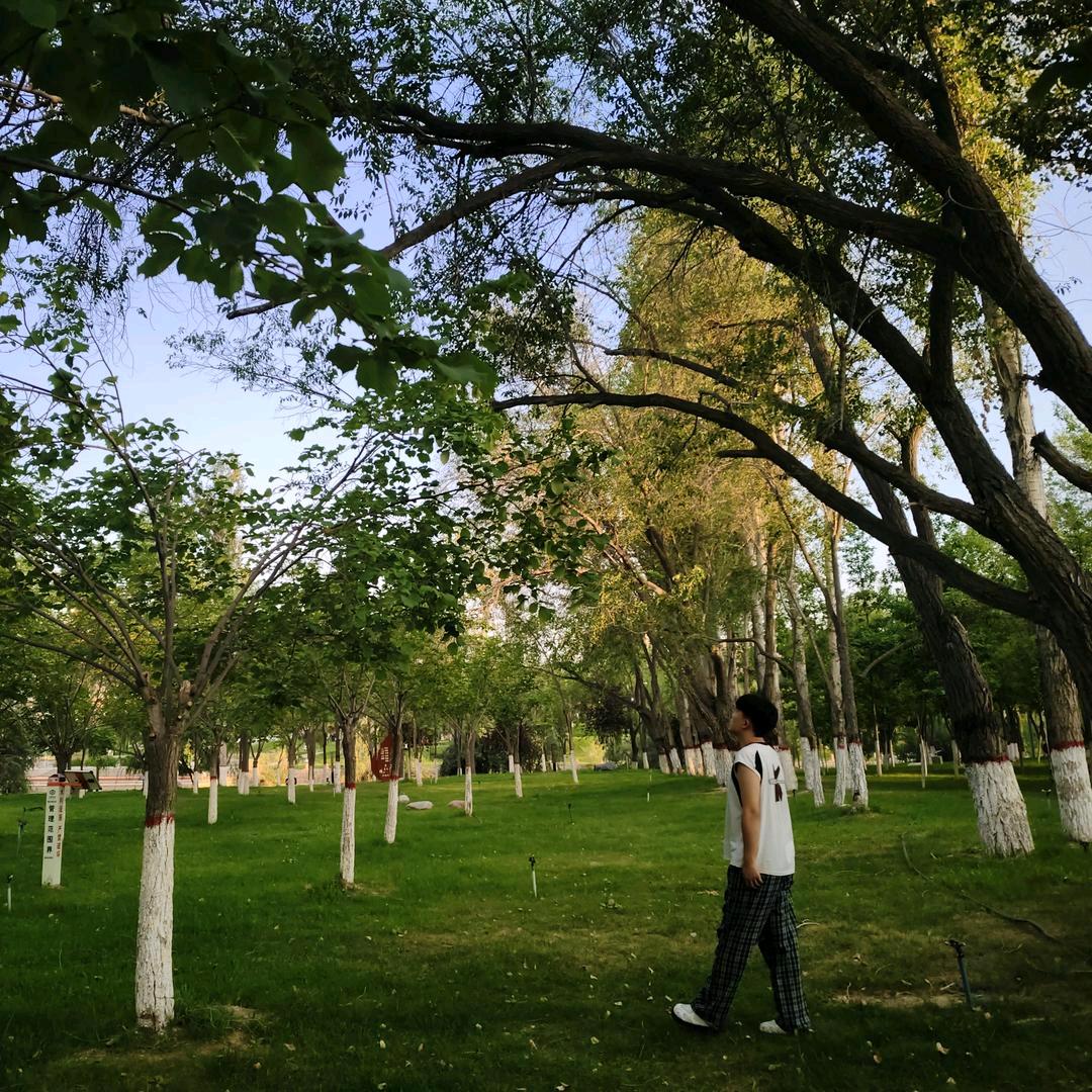 博乐膜一姐阿豪