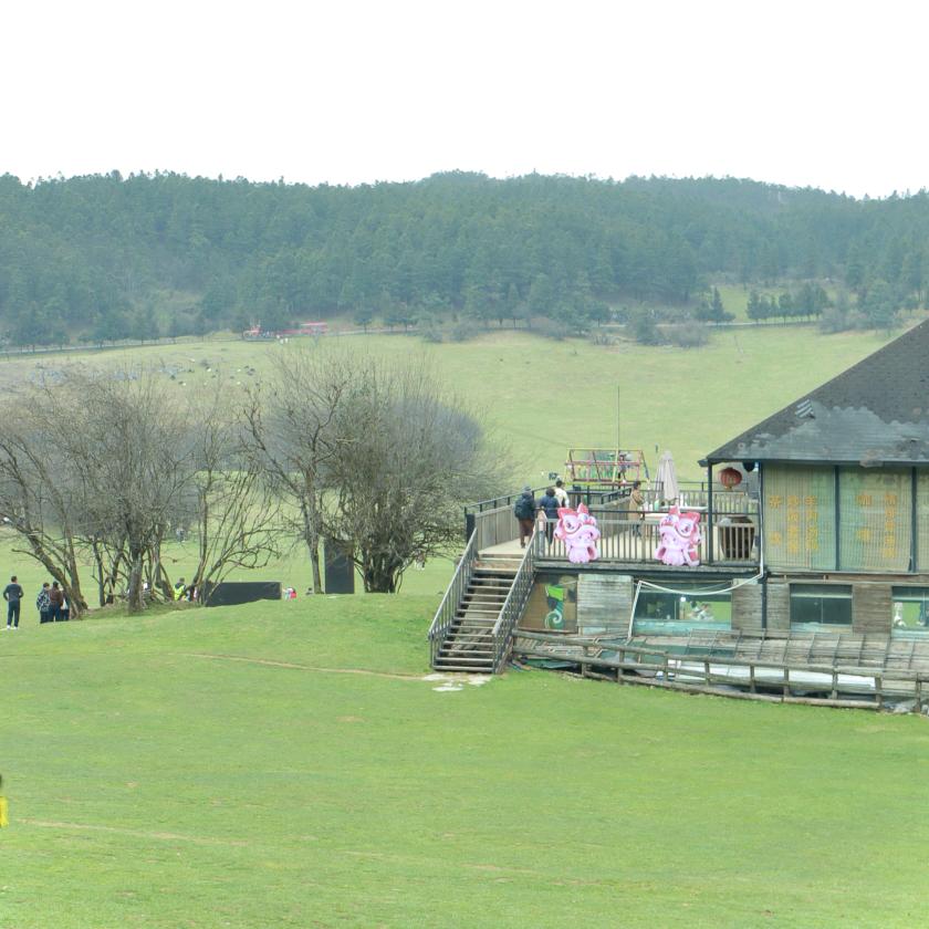 萌萌新暴富版💰