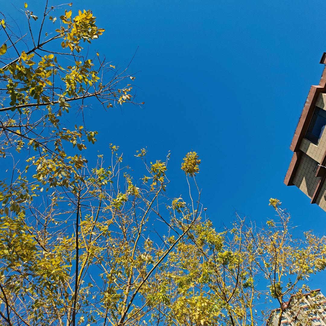 ๓°俊এ⁵²º᭄