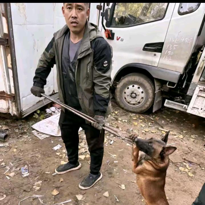 AAA专业套狗（只套四川）