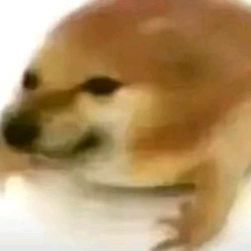 邱邱不是邱