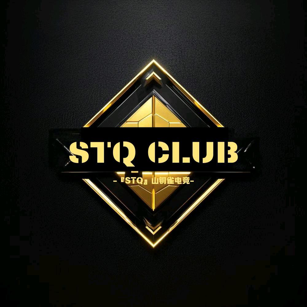 『STQ』山铜雀电竞
