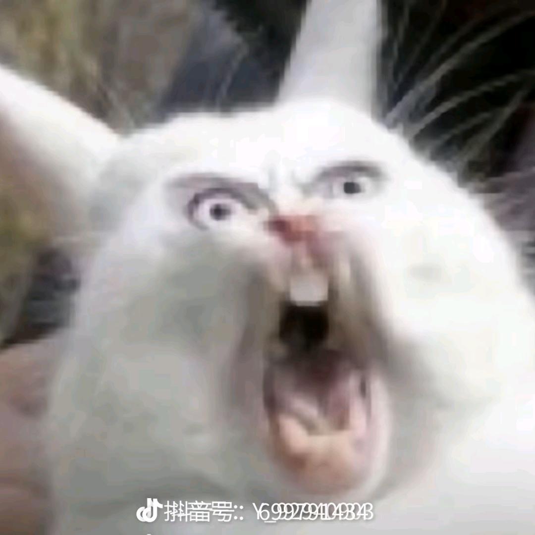 老紫薯道山