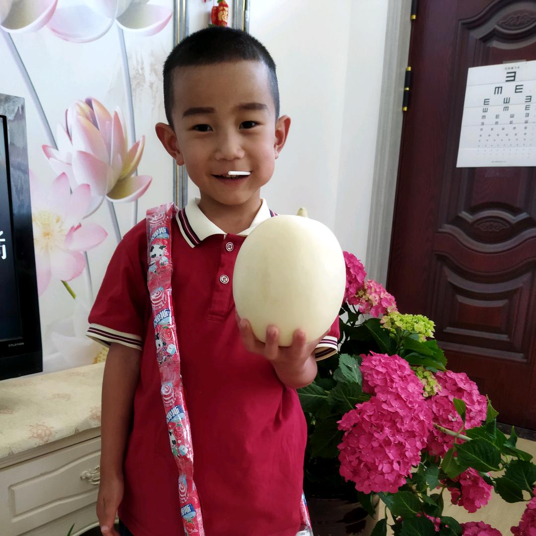 乐乐好物推荐官