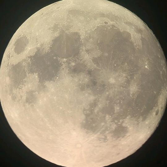 ᰔᩚ᭄ℛ彬彬🍒有礼ci꧔ꦿ້໌ᮨ࿐