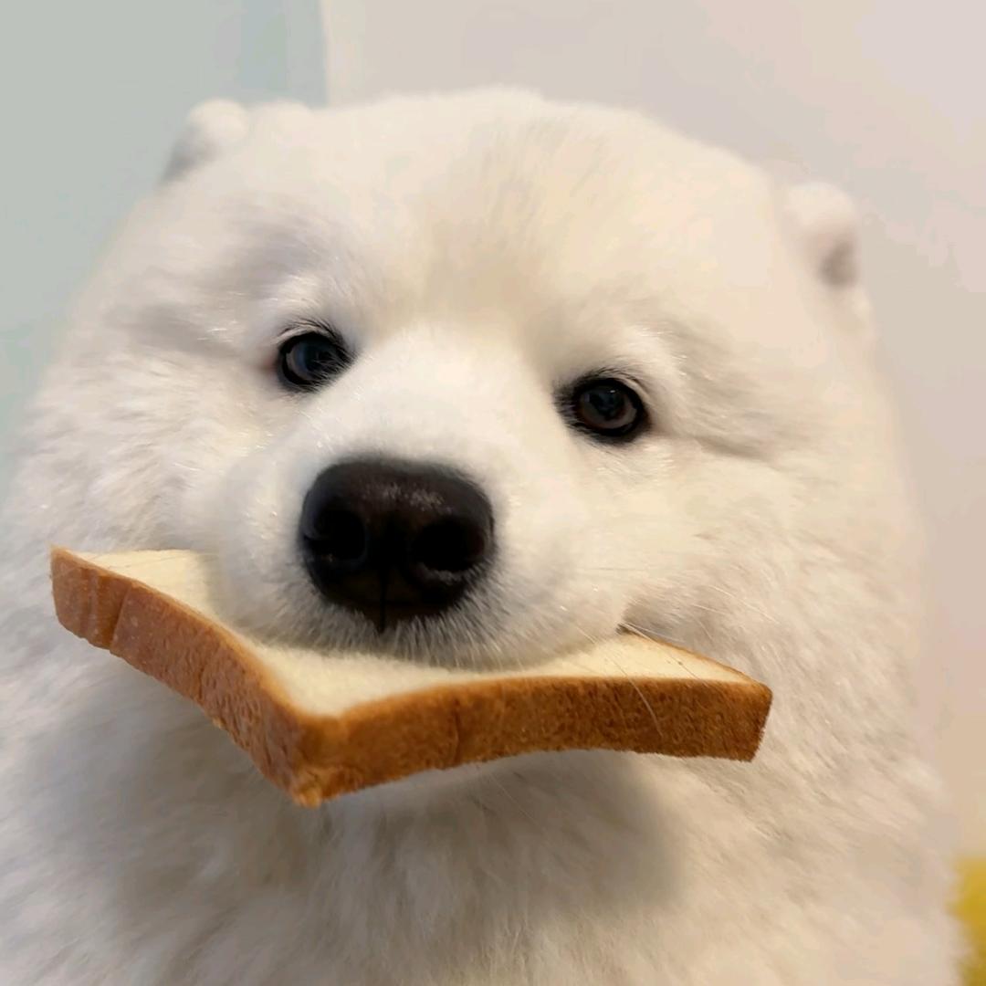 蓝菲