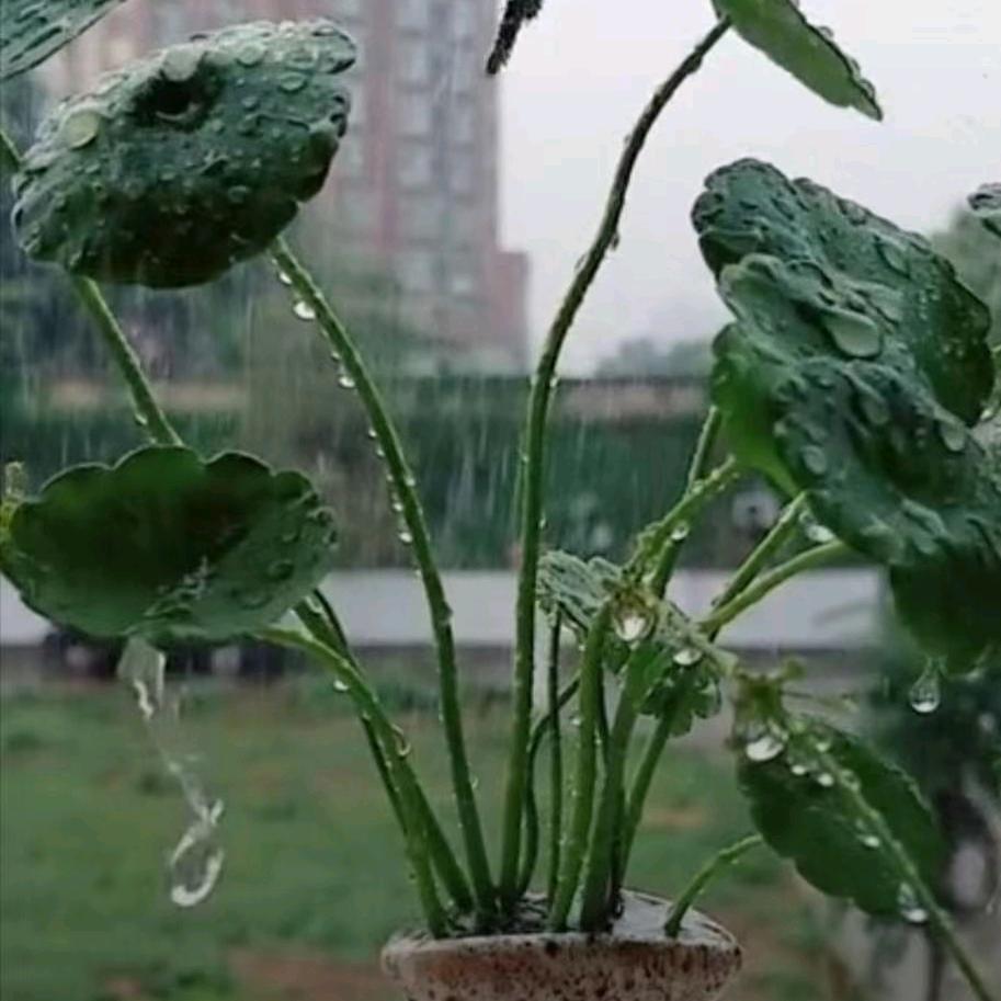 只有①点甜❤ (ɔˆз(ˆ⌣ˆc)