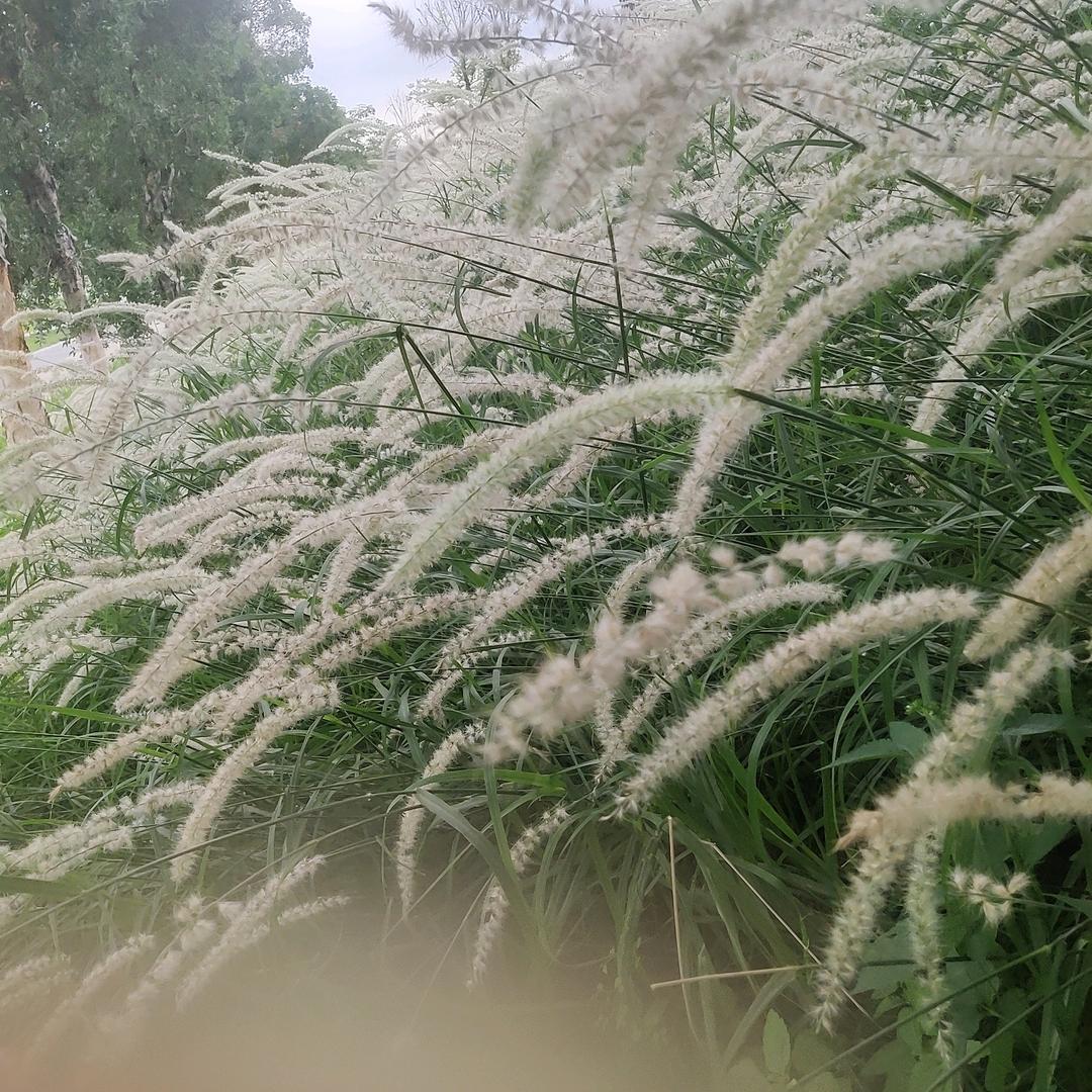 放下即是重生
