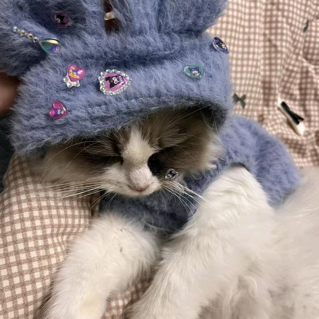 刘糖糖