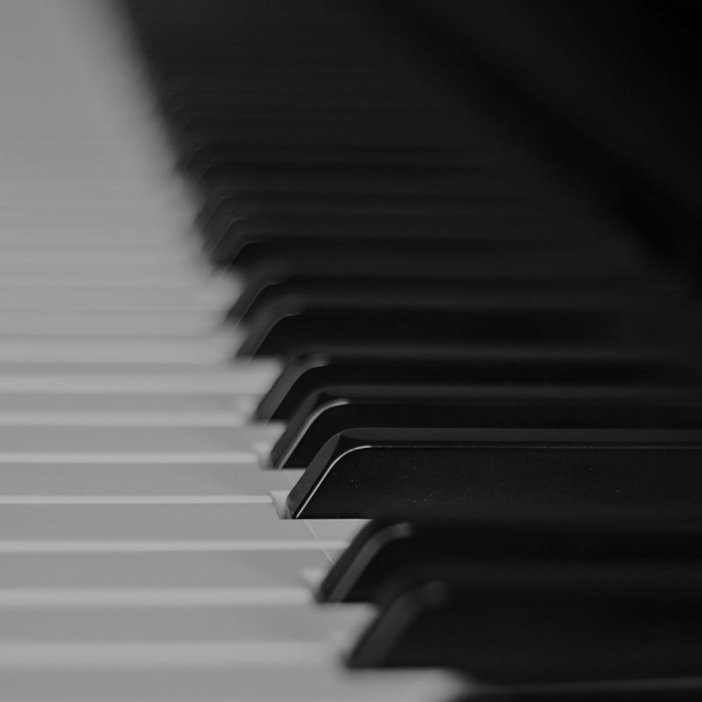 ⚜️琴有独钟⚜️