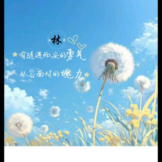 后叉（自体2025.5.21）
