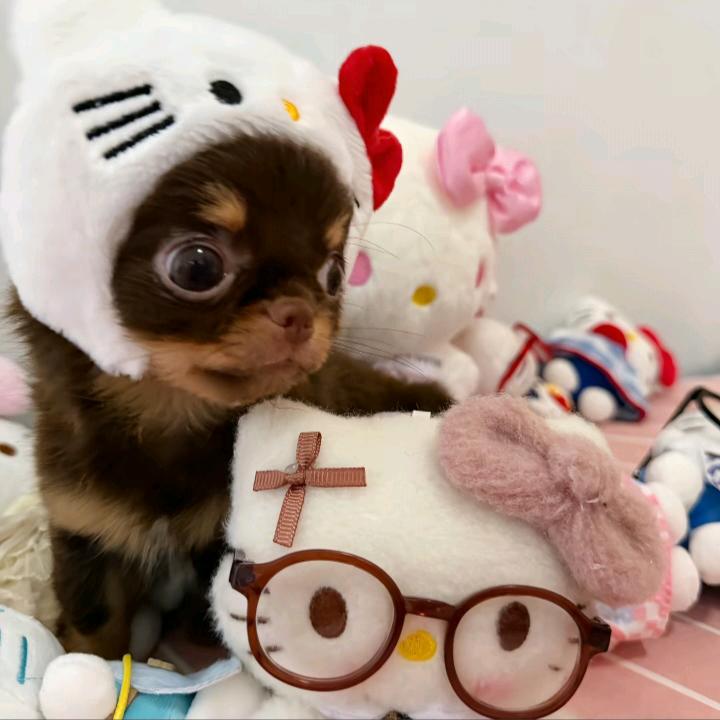 呃...