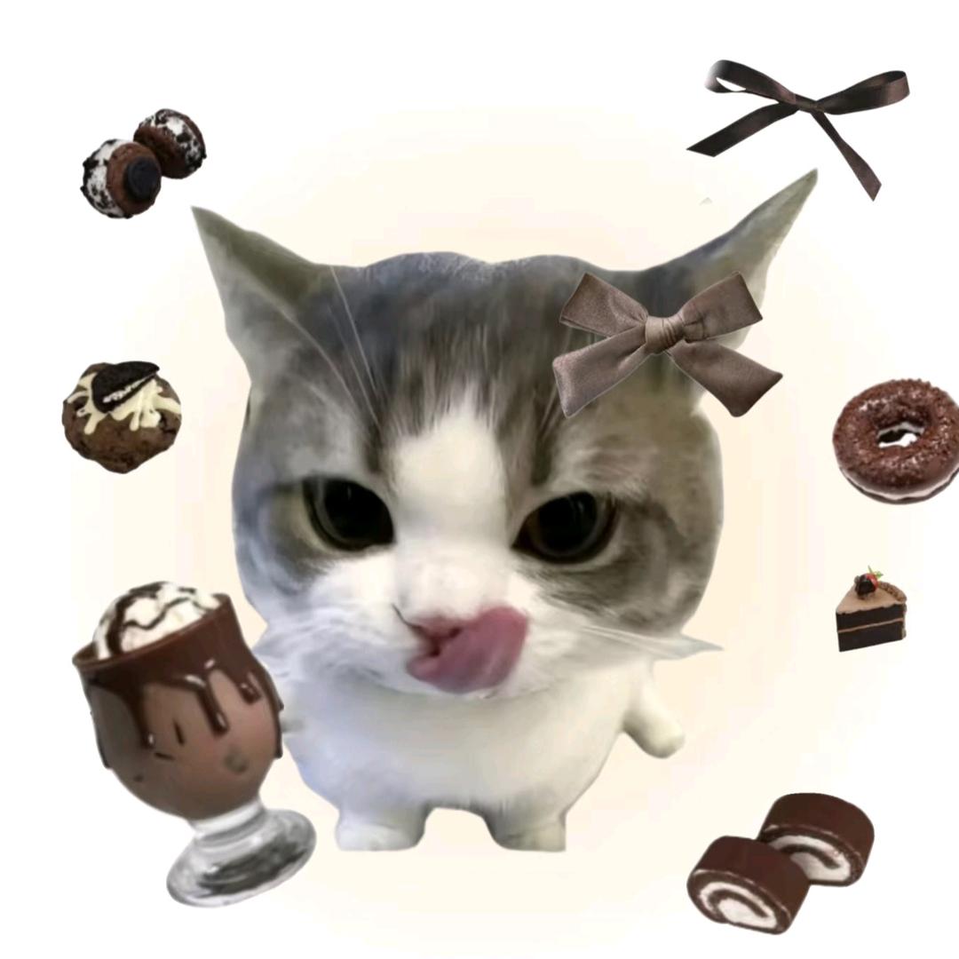 比利时在逃巧克力🍫头像
