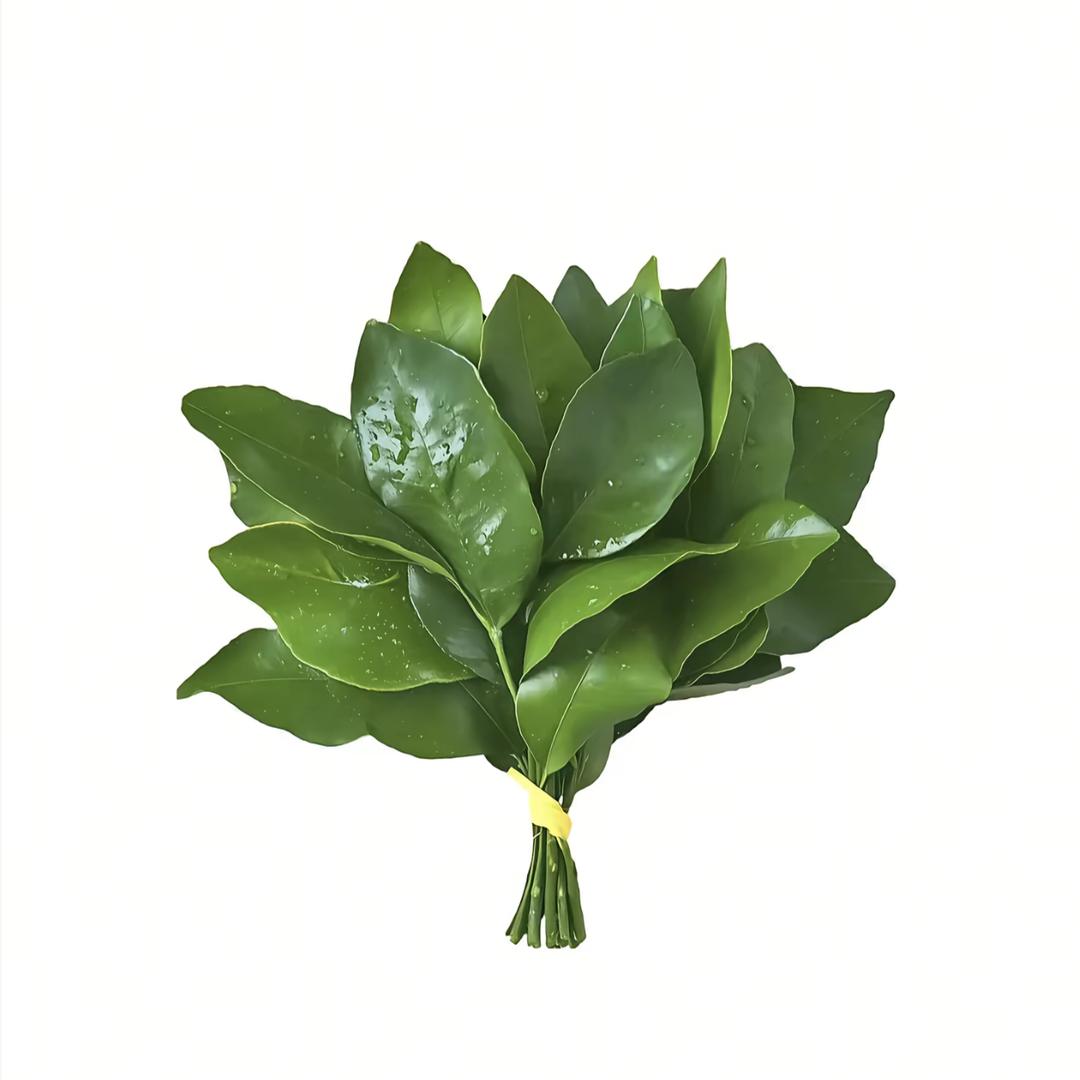 努力站桩的奶酪🧀