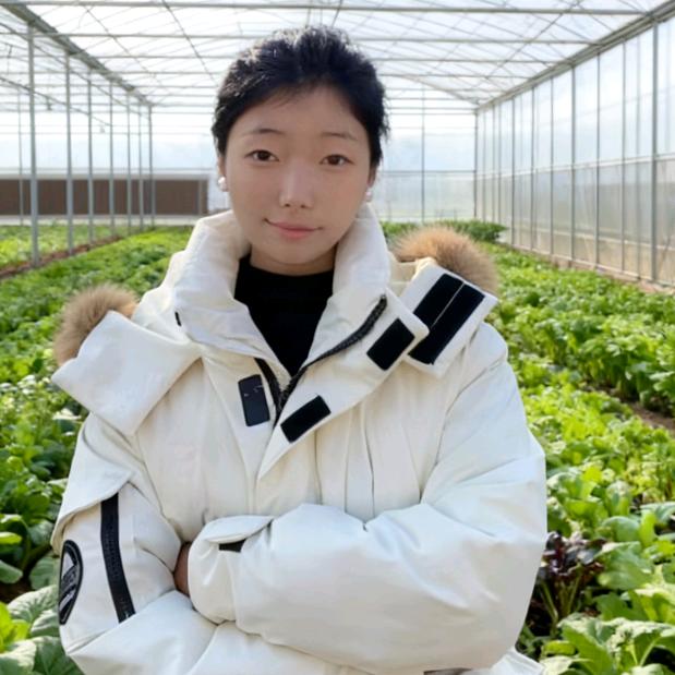 凯赛诺-丽丽说农