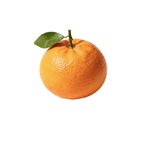 🍊.