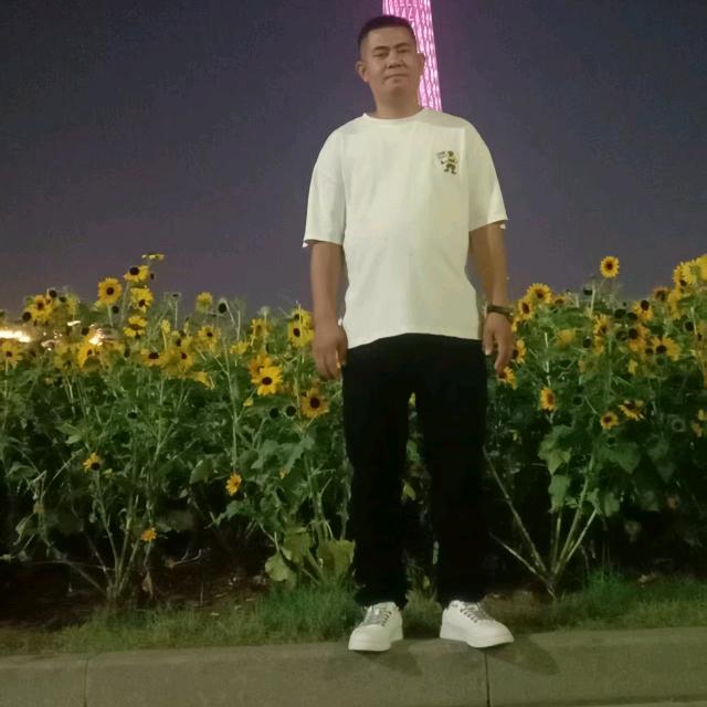 漫步在都市的丛林中