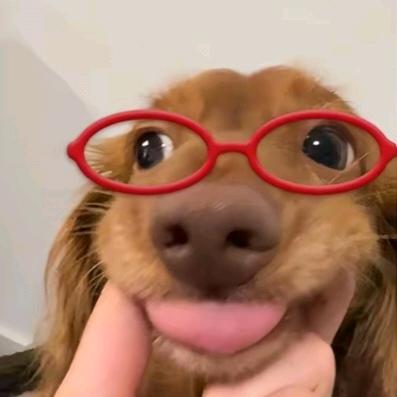 樂樂