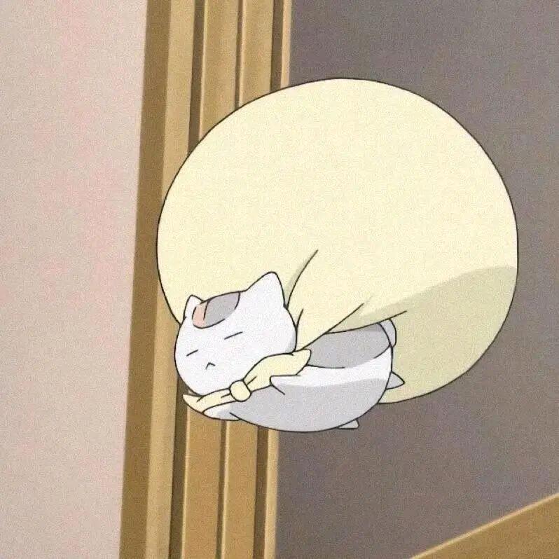 伊川华洋张老师