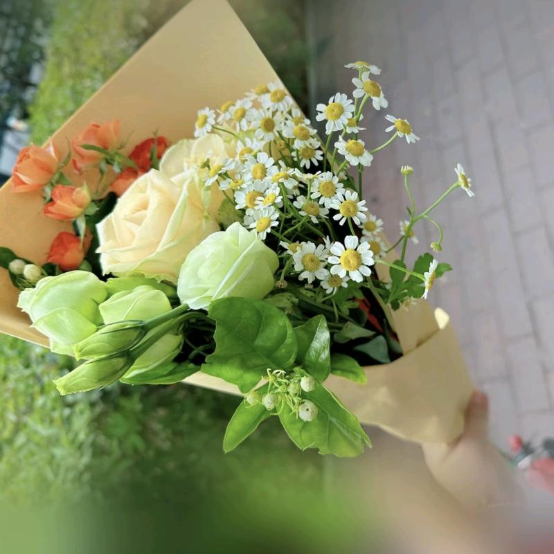 新手（王者荣耀）