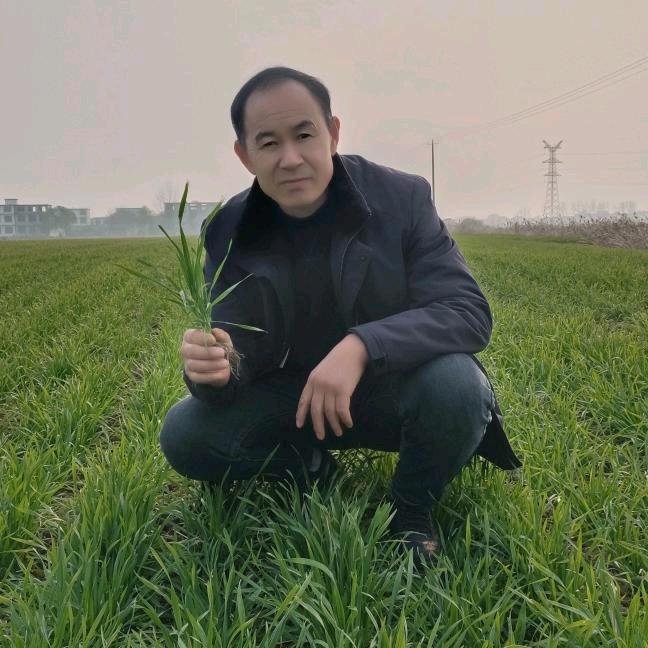 农作物守护人