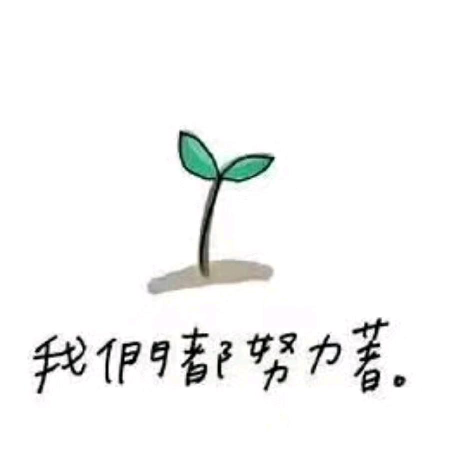 小饺子（自律）