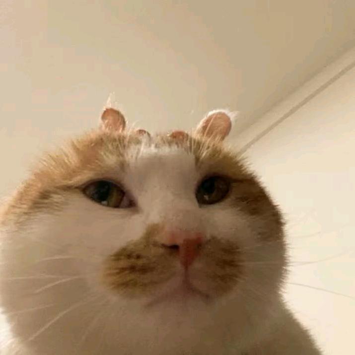 叶祥