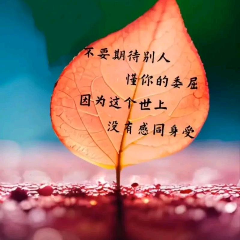 0-10不知道那个数字是对的
