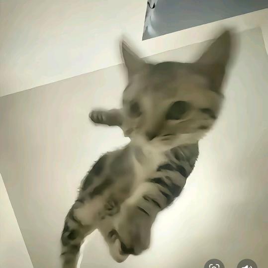 如约而至