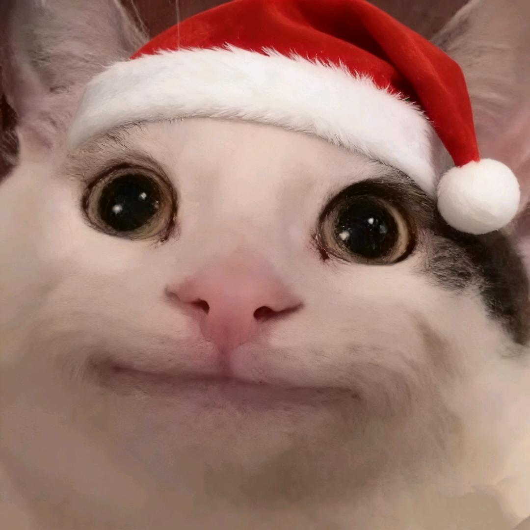 被爆炒的土豆丝