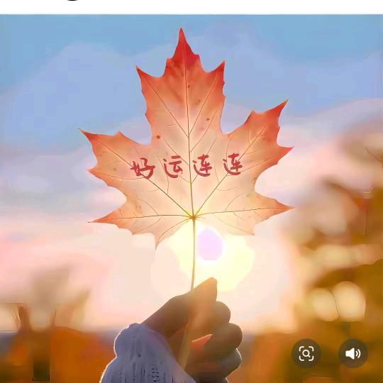 橙心🎤🌻🍀