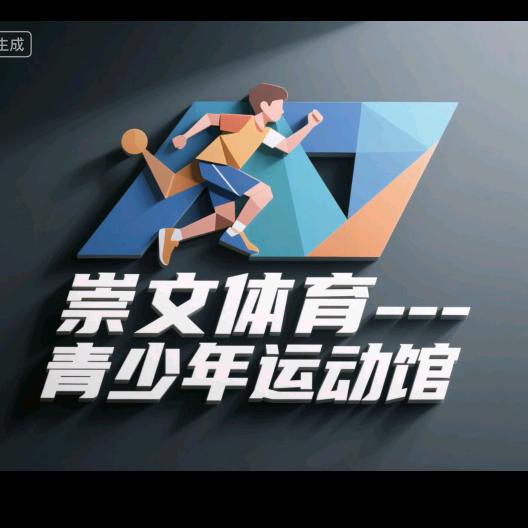 崇文体育