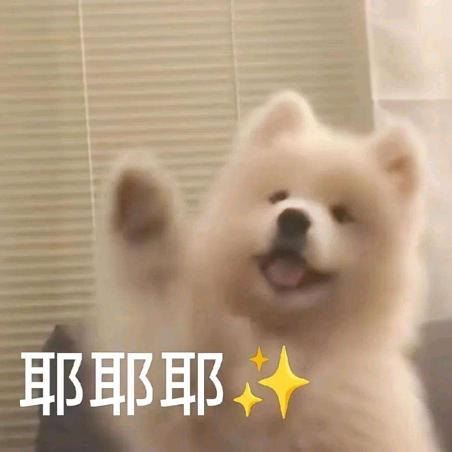 阿良·