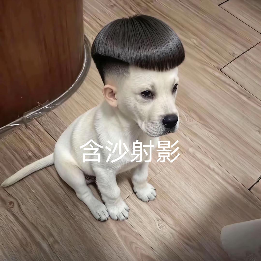 《断～舍～离》