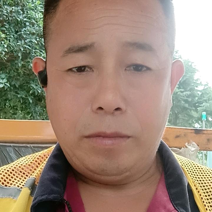 张树根