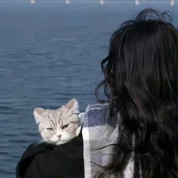 安婷☀️