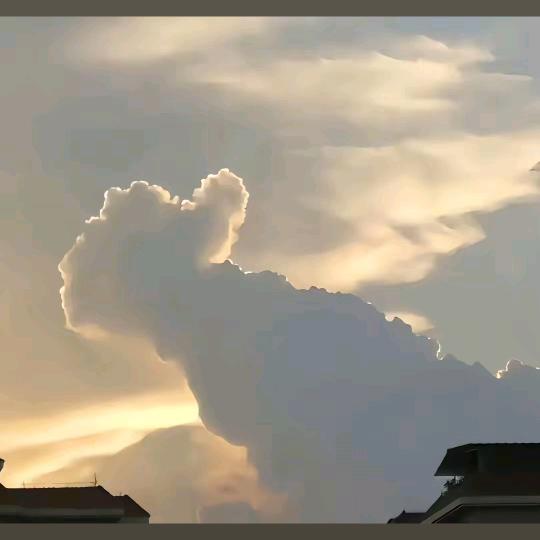 ＼(＠＾０＾＠)/♪