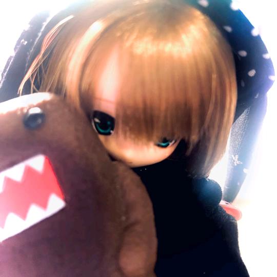 冬十日