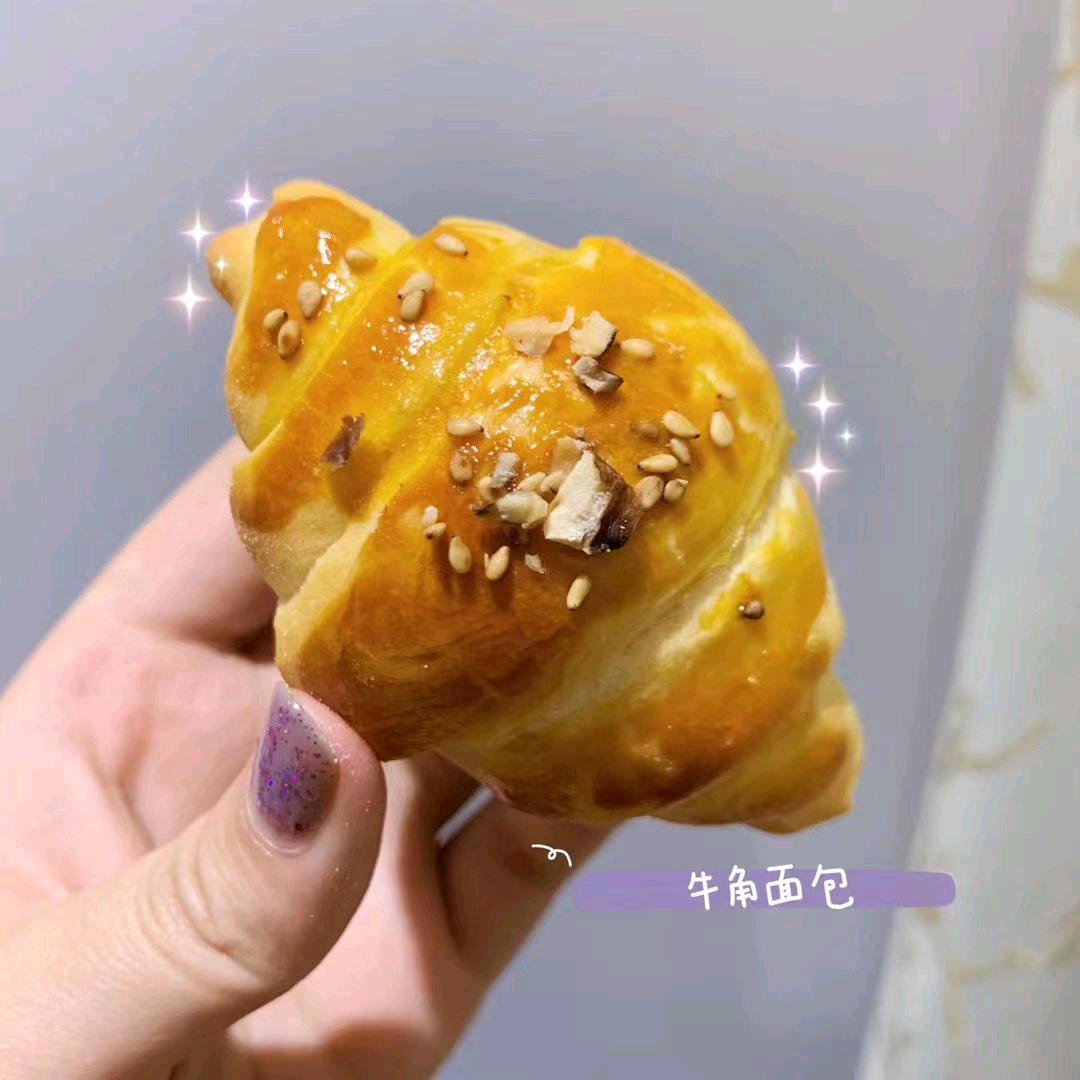 木棉花🌸