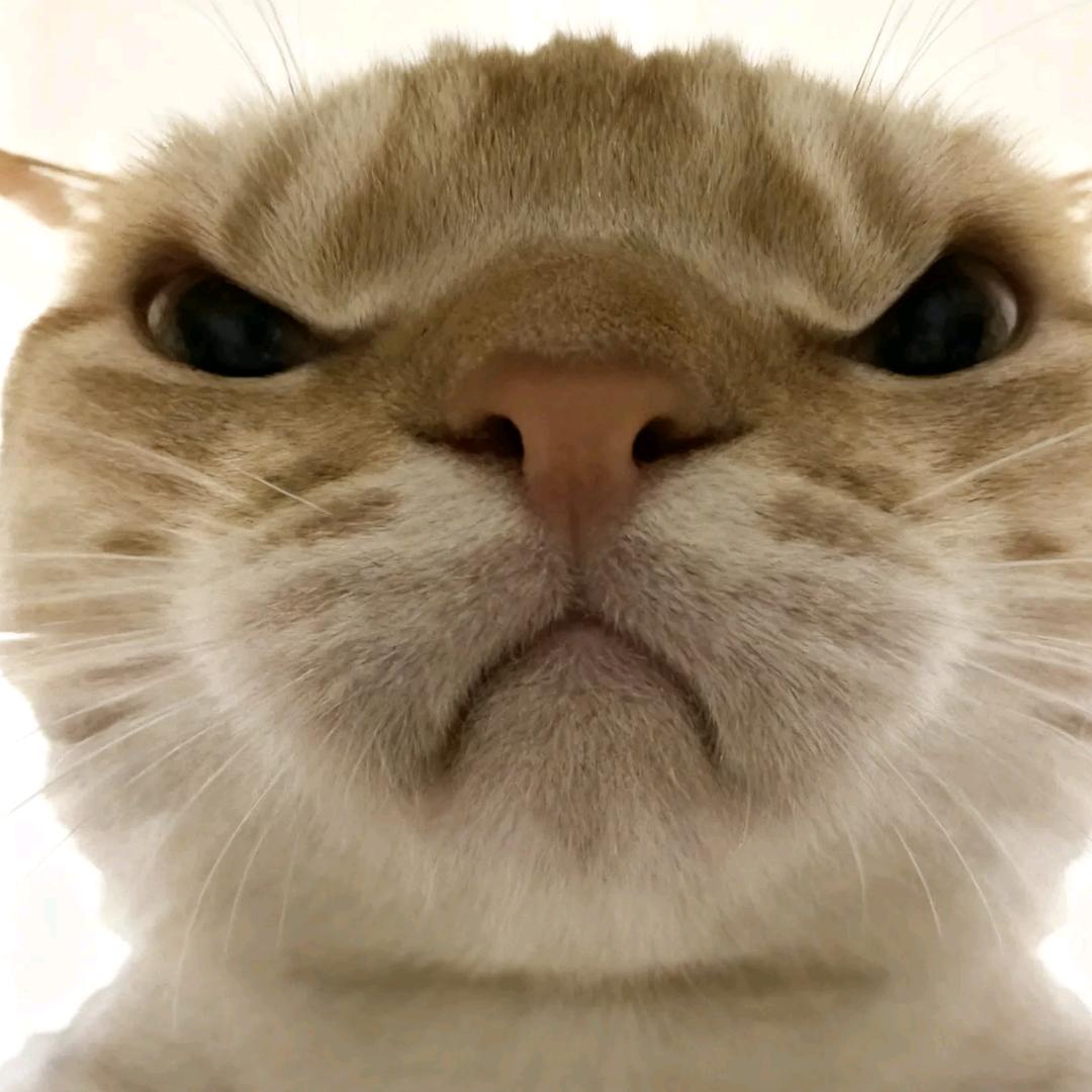 大良（三角洲行动）