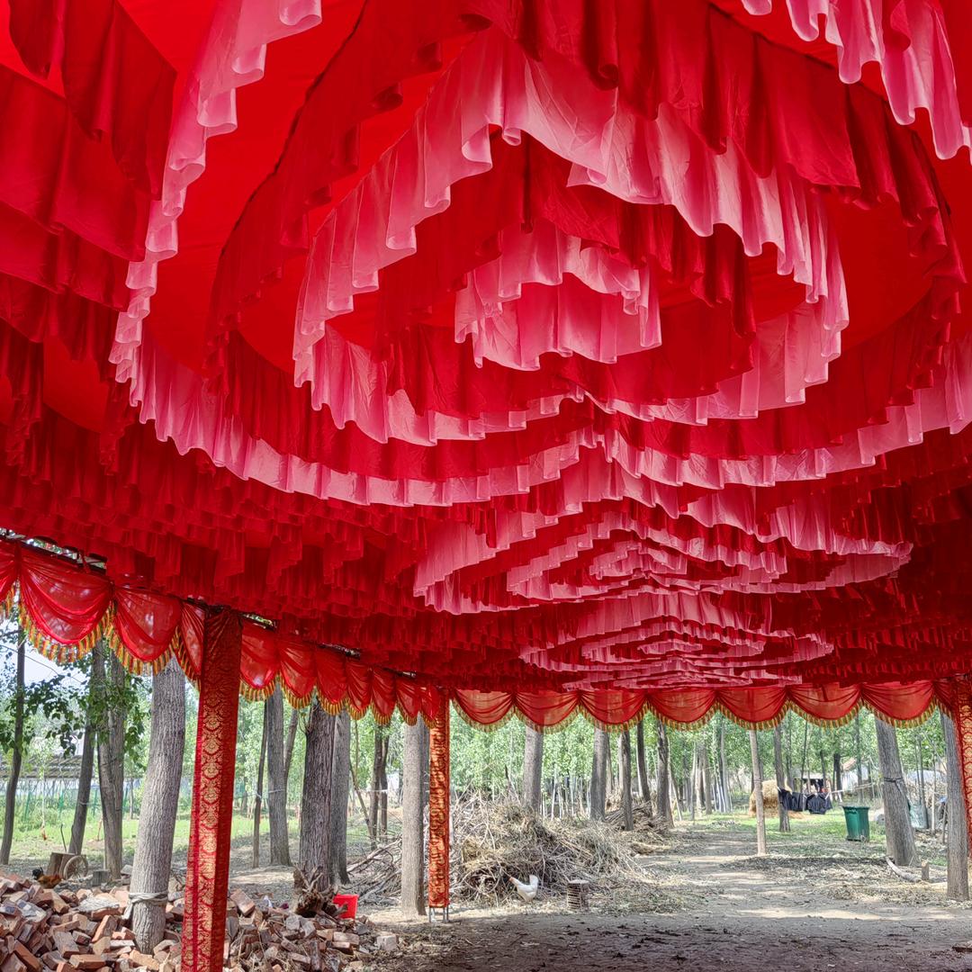 农村大笨蛋生活李姐