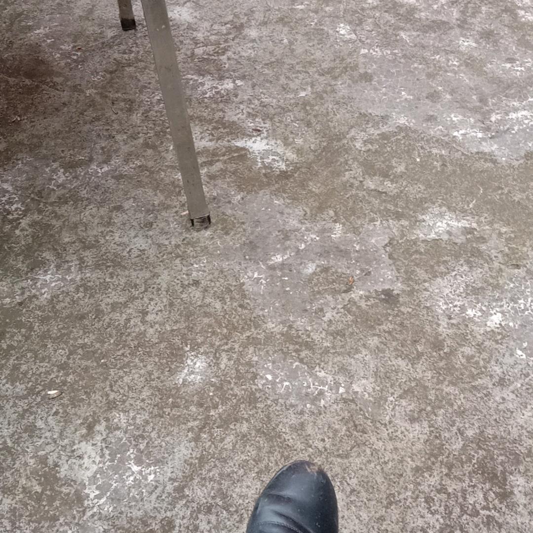 余四姐