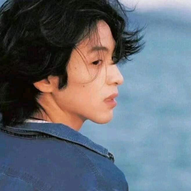 山野与菊