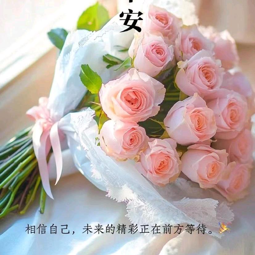 寶儿