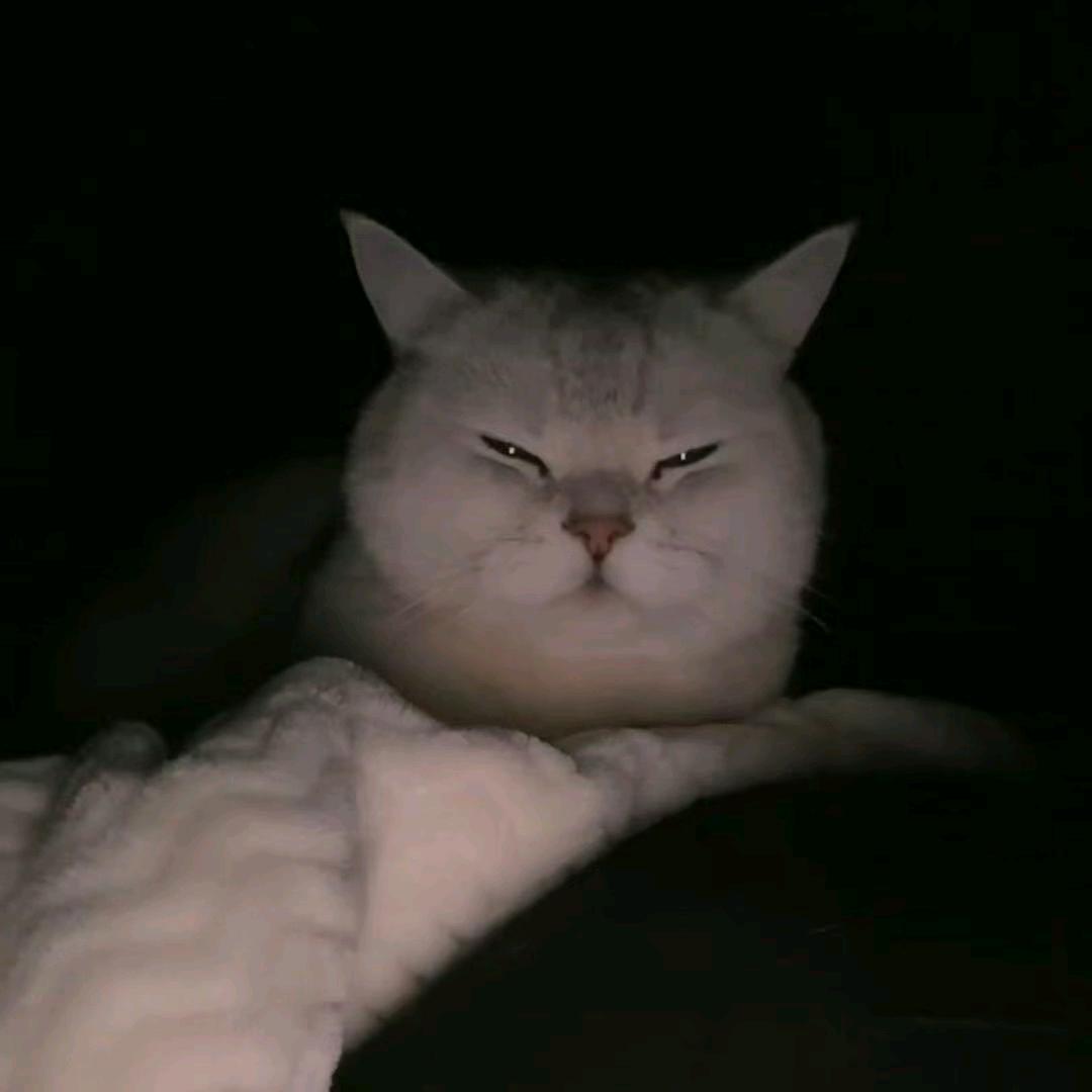 @এ᭄⍨姐是限量版☁࿐