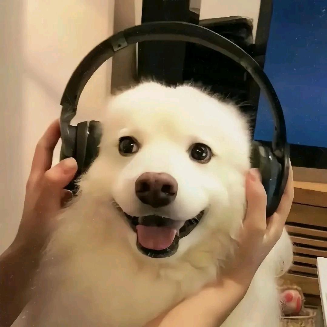 哞哞
