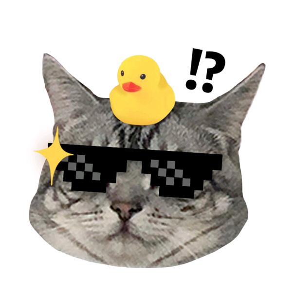 ⭐