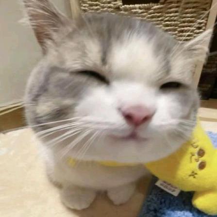 雾里呱呱(剑魔king)