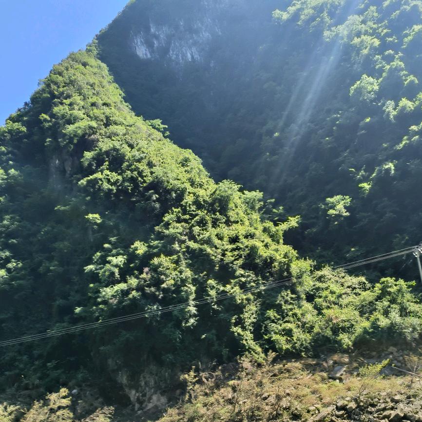 本自具足