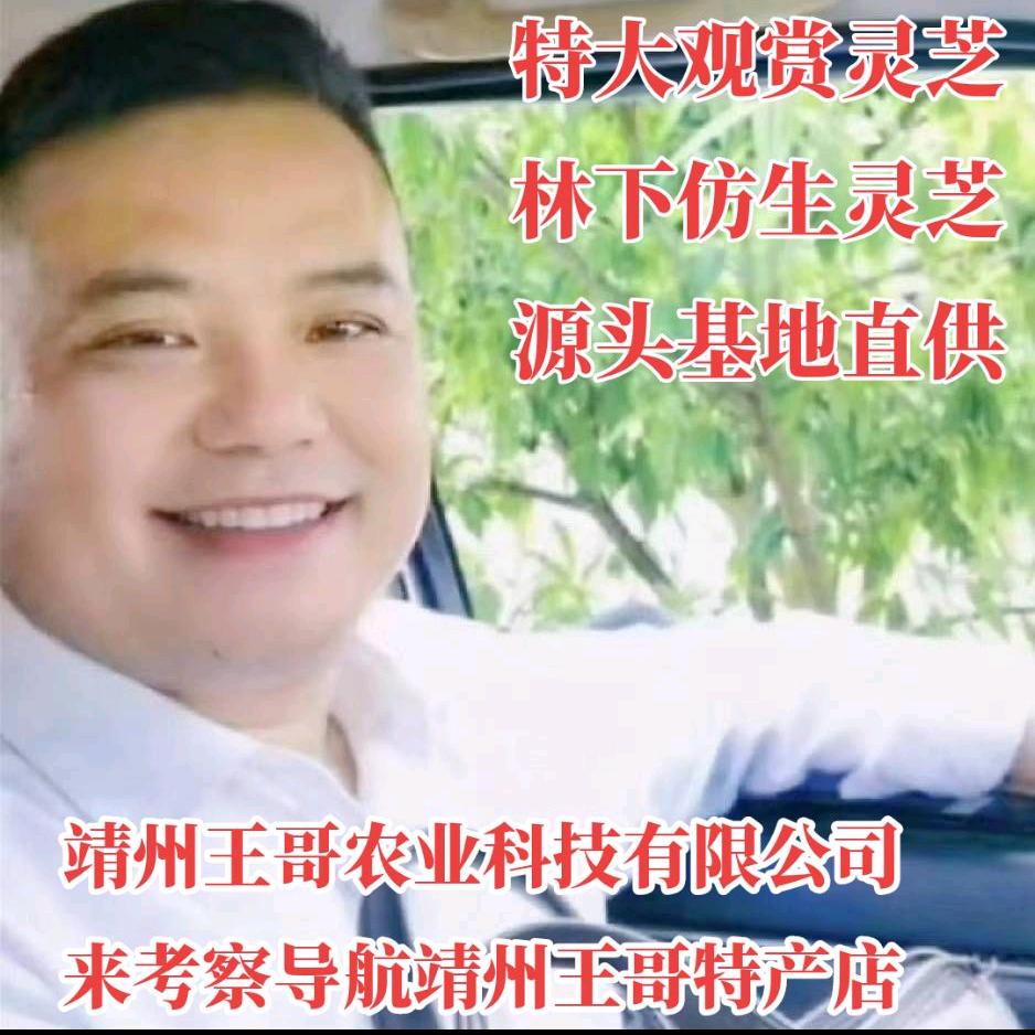 乡村灵芝王哥（助力三农）